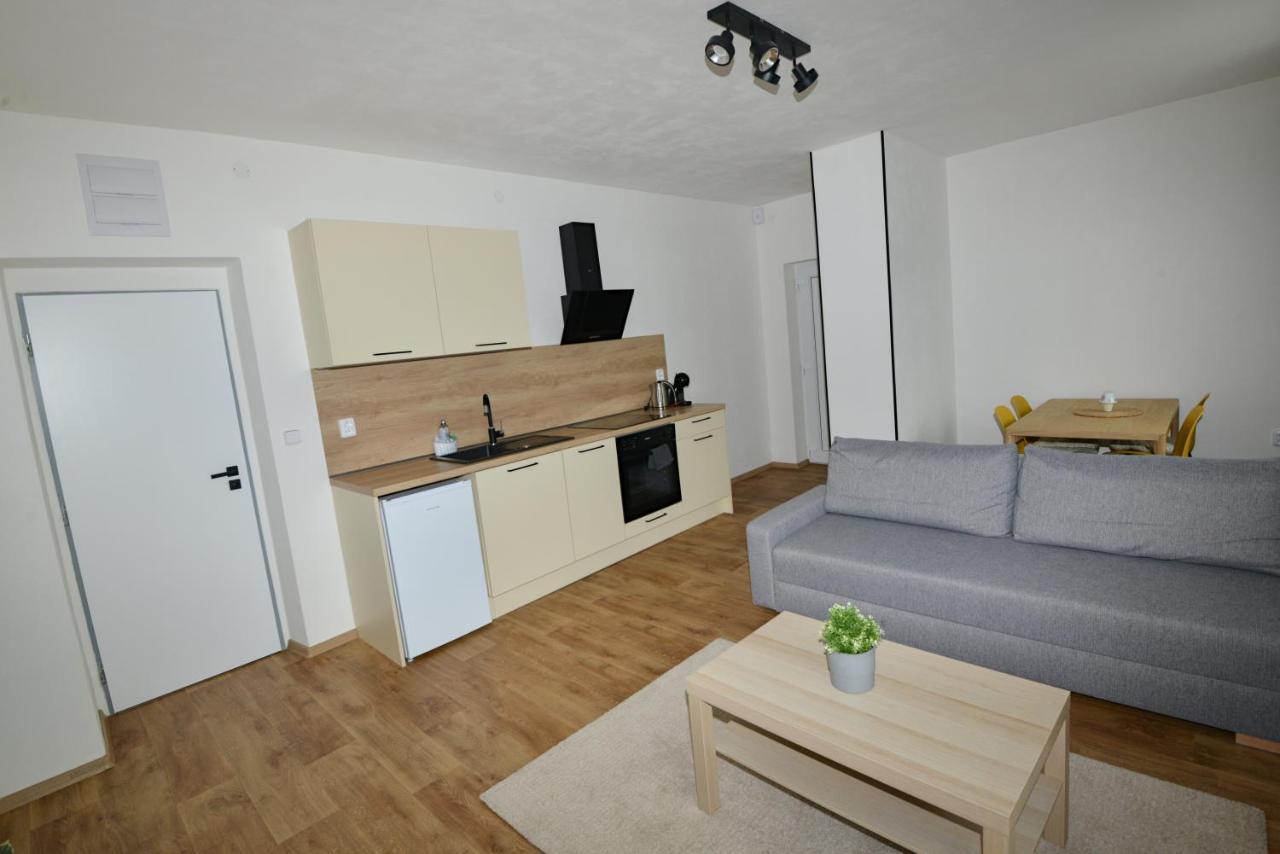 U Peslu Apartment